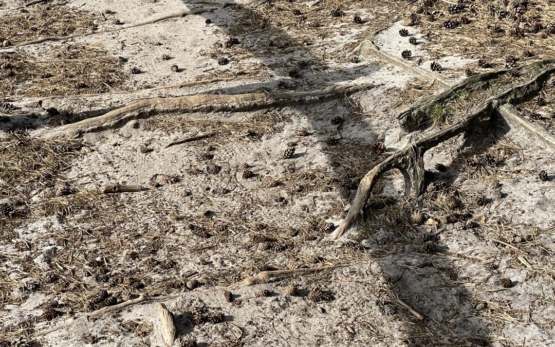 Positief, maar erkennen eerst!